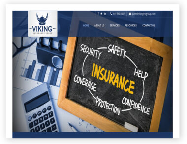 Viking Insurance Group